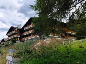 Stunning apartment in Veysonnaz